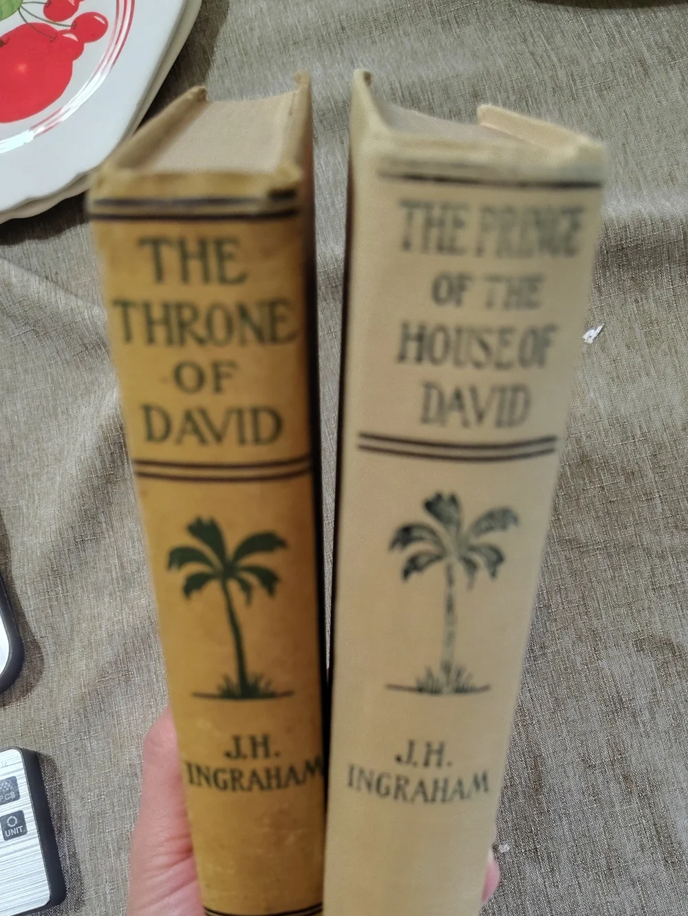 The Throne of David And The Prince Of The House Of David  Ingraham Antique Books